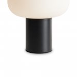 Настольный светильник Freya FR6175TL-L10B Take