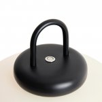 Настольный светильник Freya FR6175TL-L10B Take