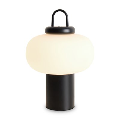 Настольный светильник Freya FR6175TL-L10B Take Настольный светильник Freya FR6175TL-L10B Take