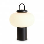 Настольный светильник Freya FR6175TL-L10B Take