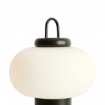 Настольный светильник Freya FR6175TL-L10B Take