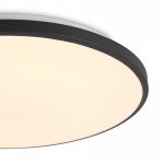 Потолочный светильник Freya FR6211CL-L24B