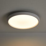 Потолочный светильник Freya FR6211CL-L24W