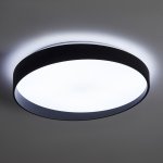 Потолочный светильник Freya FR6222CL-L84B