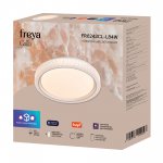 Потолочный светильник Freya FR6243CL-L84W