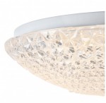 Потолочный светильник Freya FR6310-CL01-12W-TR Alicia