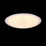 Потолочный светильник Freya FR6688-CL-L60W Laura