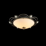 Потолочный светильник Freya FR2700-CL-02-BZ Amado