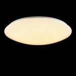 Потолочный светильник Freya FR6999-CL-45-W Gloria