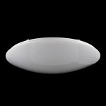 Потолочный светильник Freya FR999-75-W Gloria