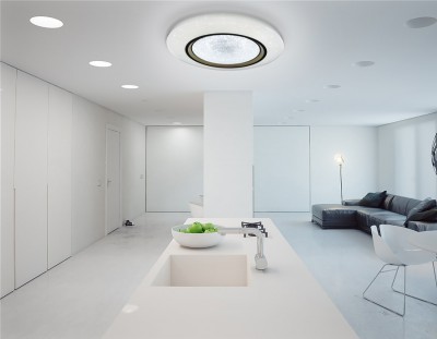 Светильник Ambrella FS1233 WH/SD 96W D450