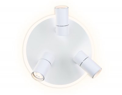 Настенный светильник Ambrella FW261