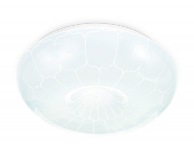 Потолочный светодиодный светильник Ambrella FZ1090 FZ