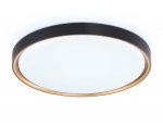 Потолочный светодиодный светильник с высокой степенью защиты IP54 Ambrella FZ1249 BK/GD черный/золото IP54 45W 5000K D480*60 (Без ПДУ)