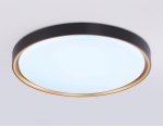 Потолочный светодиодный светильник с высокой степенью защиты IP54 Ambrella FZ1249 BK/GD черный/золото IP54 45W 5000K D480*60 (Без ПДУ)