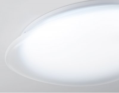 FZ1605 FR матовый IP20 60W 5000K 510*100 (Без ПДУ)