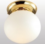 Потолочный светильник Favourite 1531-1C1 Zirkel