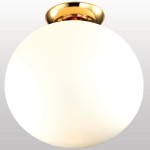 Потолочный светильник Favourite 1531-1C2 Zirkel