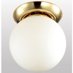 Потолочный светильник Favourite 1531-1C Zirkel