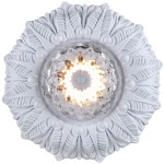 Настенно-потолочный светильник Favourite 1544-1C Conti