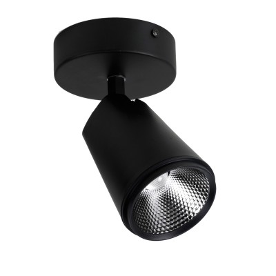 Потолочный светильник спот Favourite 1981-1U Projector Потолочный светильник спот Favourite 1981-1U Projector