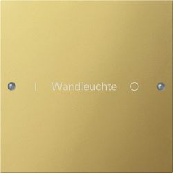 Gira KNX Комплект клавиш, 1 шт. гравировка (G2131608)