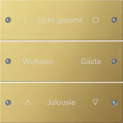 Gira KNX Комплект клавиш, 3 шт. гравировка (G2133608)