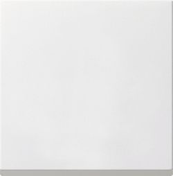 Gira S-55 Бел глянц Накладка универсального диммера (G231603)