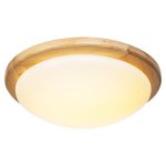 Потолочный светодиодный светильник G31041/12WOOD WT Gerhort