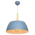 Подвесной светильник G51091/1GR Gerhort