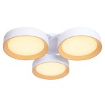 Потолочный светодиодный светильник G61015/3WT+YL Gerhort