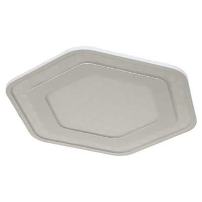 Потолочный светодиодный светильник G61113/2WT RC Gerhort