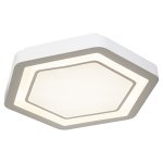 Потолочный светодиодный светильник G61114/1A WT RC Gerhort