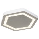 Потолочный светодиодный светильник G61114/1A WT RC Gerhort