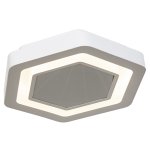 Потолочный светодиодный светильник G61114/1WT RC Gerhort