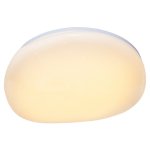 Потолочный светодиодный светильник G61163/40W RC Gerhort