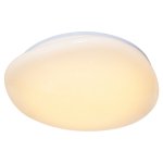 Потолочный светодиодный светильник G61163/60W RC Gerhort