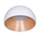 Потолочный светодиодный светильник G61448/1WT+WD Gerhort