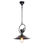 Подвесной светильник G71011/1BK Gerhort