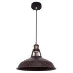 Подвесной светильник G71043/1PAINTING Gerhort