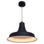 Подвесной светильник G71044/1BK+FGD Gerhort