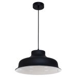 Подвесной светильник G71061/1BK Gerhort