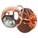 Спотовый светильник G81032/1wCOP Gerhort