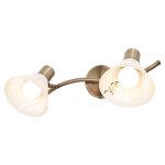 Спотовый светильник G81042/2wAB WH Gerhort