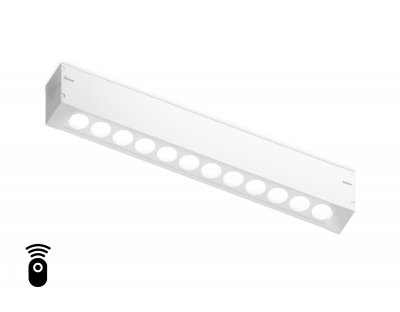 Управляемый светодиодный светильник для шинопровода Magnetic 220V диммируемый 3000-6400K Ambrella GL1301 WH белый IP20 12W 3000K-6400K 220V 24° 232*25*42 (Без ПДУ)