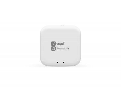 GL1920 WH белый Wi-Fi TUYA/Smart Life