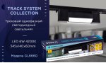 Трековый светильник Ambrella GL6660