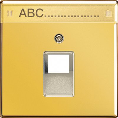 JUNG LS 990 Блеск золота Накладка 1-ой наклонной ТЛФ/комп розетки с полем для надписи (GO2969-1NAUA) JUNG LS 990 Блеск золота Накладка 1-ой наклонной ТЛФ/комп розетки с полем для надписи (GO2969-1NAUA)