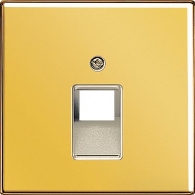 JUNG LS 990 Блеск золота Накладка 1-ой наклонной ТЛФ/комп розетки (GO2969-1UA) JUNG LS 990 Блеск золота Накладка 1-ой наклонной ТЛФ/комп розетки (GO2969-1UA)