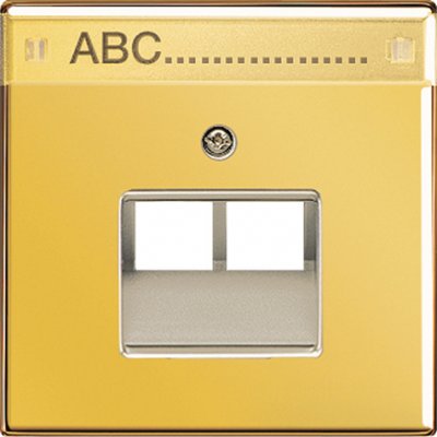 JUNG LS 990 Блеск золота Накладка 2-ой наклонной ТЛФ/комп розетки с полем для надписи (GO2969-2NAUA) JUNG LS 990 Блеск золота Накладка 2-ой наклонной ТЛФ/комп розетки с полем для надписи (GO2969-2NAUA)